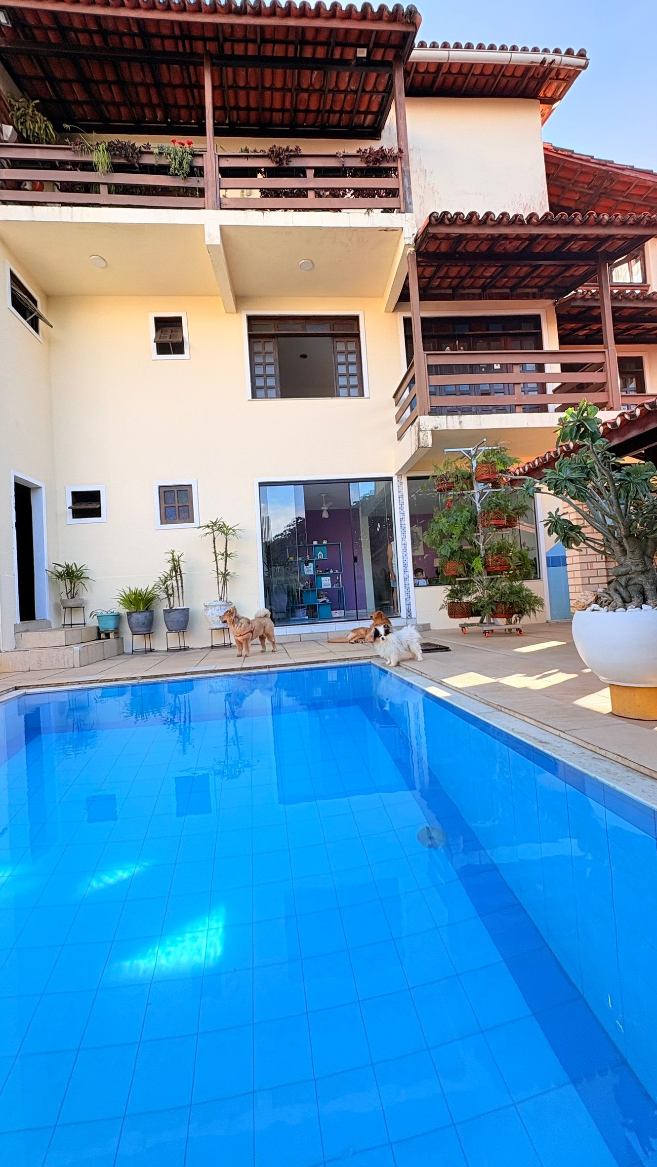 Casa da família Pimenta, com piscina, plantas, varandas e a porta de vidro do Espaço Terapêutico Chama Violeta